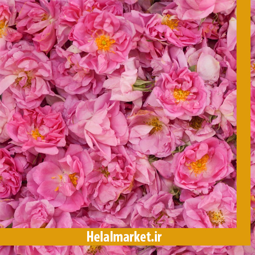 گل محمدی هلال مارکت